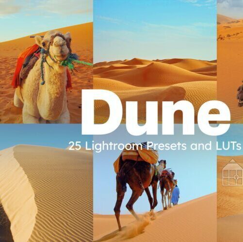 25个沙漠骆驼旅行摄影Lightroom预设及电影视频PR调色LUT预设